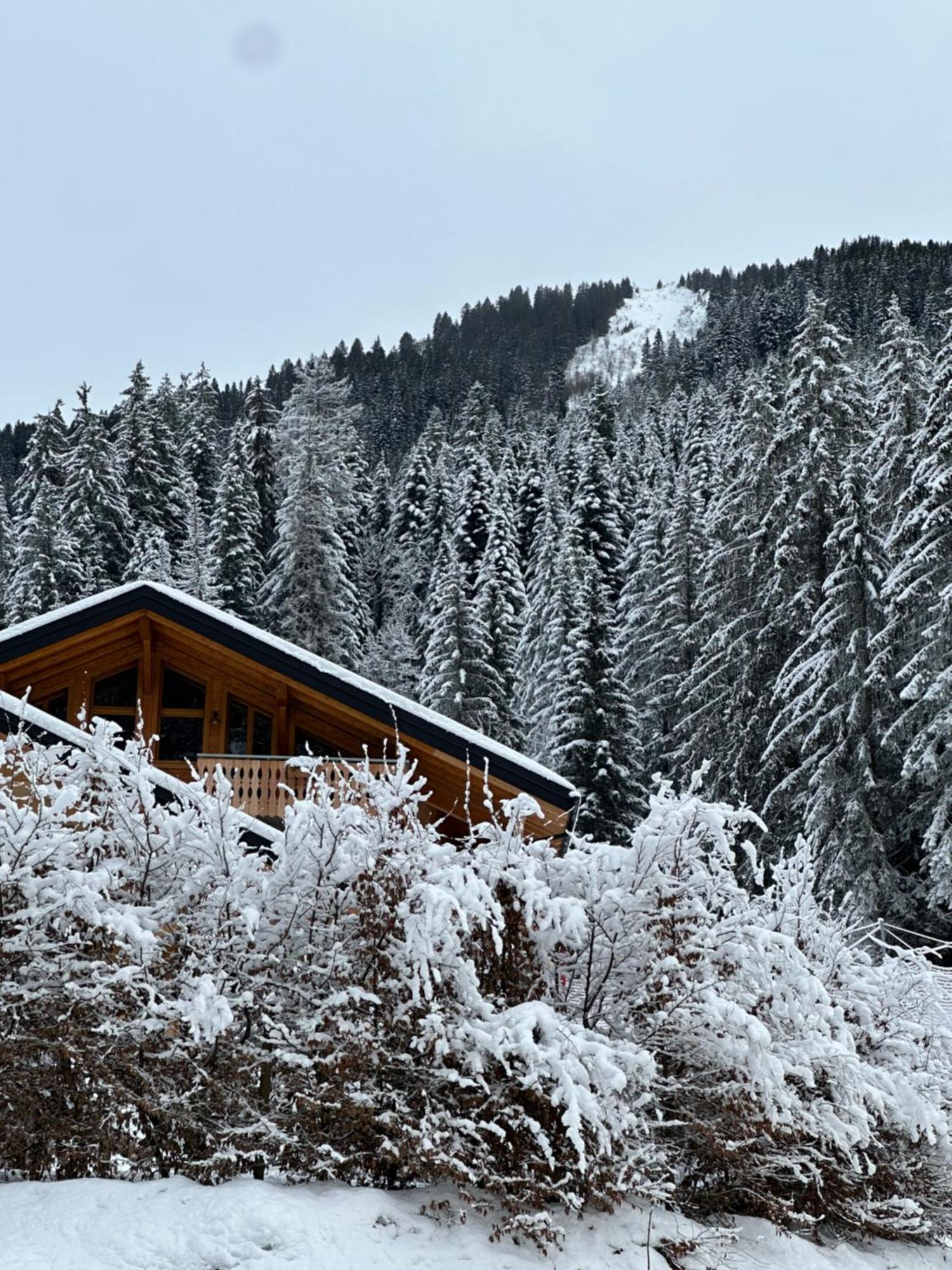 La Rose Des Neiges A ชาแตล ภายนอก รูปภาพ